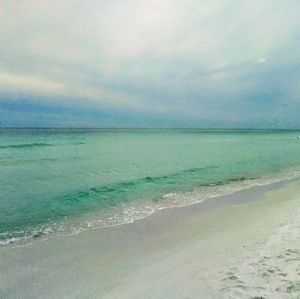 Meet your Posher, Glenda